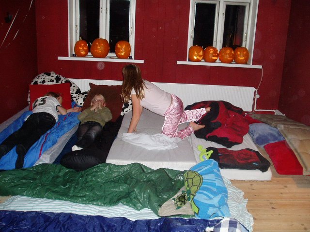 Stuen og sove-rummet EFTER vi kom derind - Og, ja, rigtigt gættet, JEG sov i den grønne sovepose.